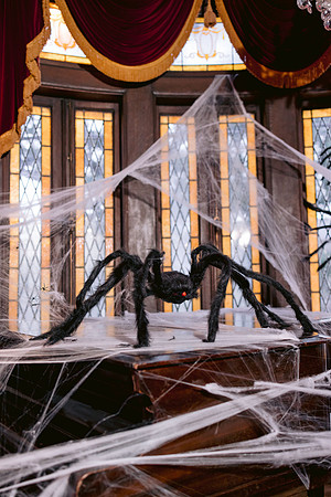 QueensLabyrinth_2024-4