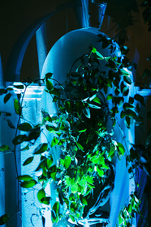 QueensLabyrinth_2024-177