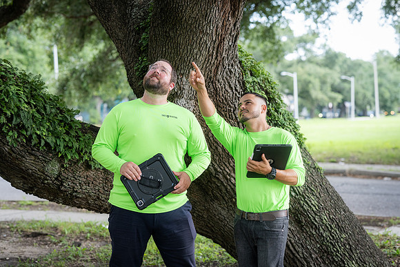 TreeMasters_DH-24