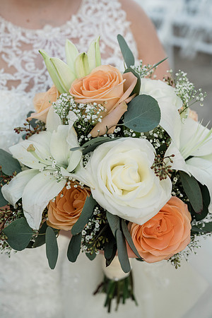 Roussel_DW-273