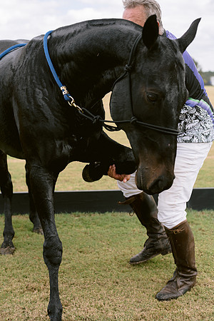 SummergrovePOLO-123