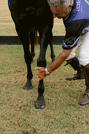 SummergrovePOLO-122