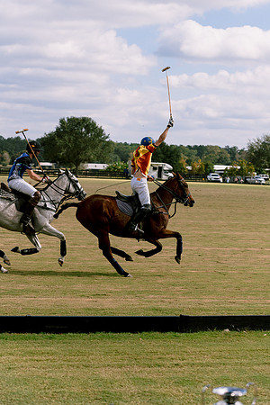 SummergrovePOLO-99