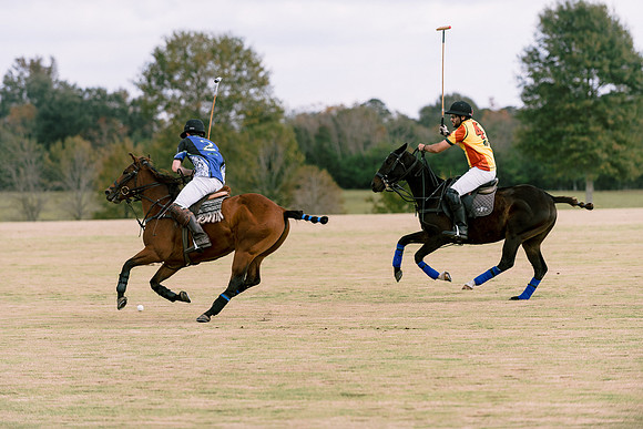 SummergrovePOLO-93