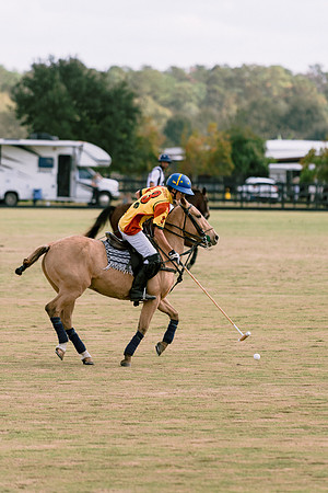 SummergrovePOLO-90