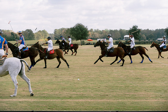 SummergrovePOLO-70