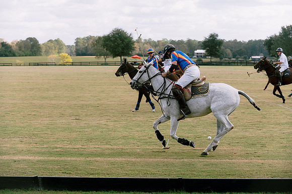 SummergrovePOLO-68