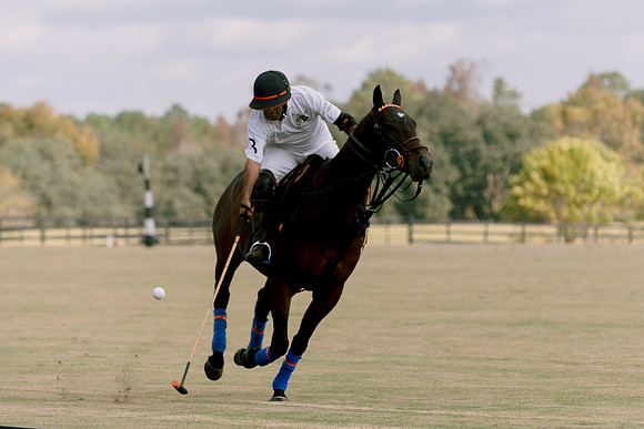 SummergrovePOLO-62