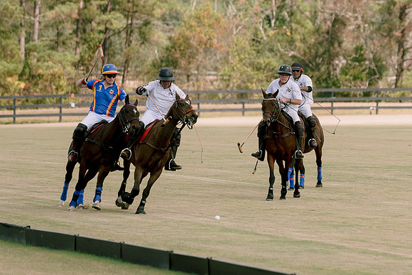 SummergrovePOLO-60