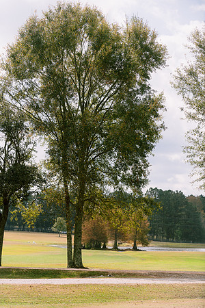 SummergrovePOLO-54