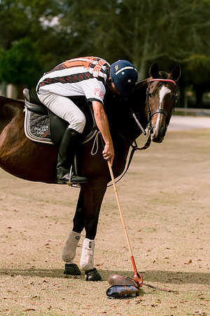 SummergrovePOLO-57