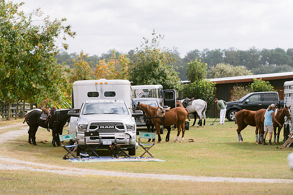 SummergrovePOLO-52