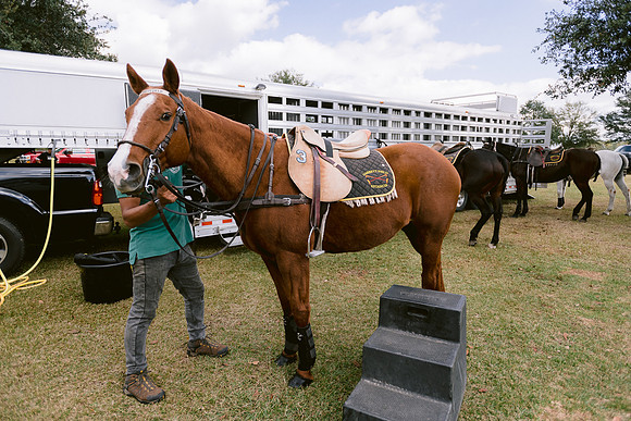 SummergrovePOLO-41