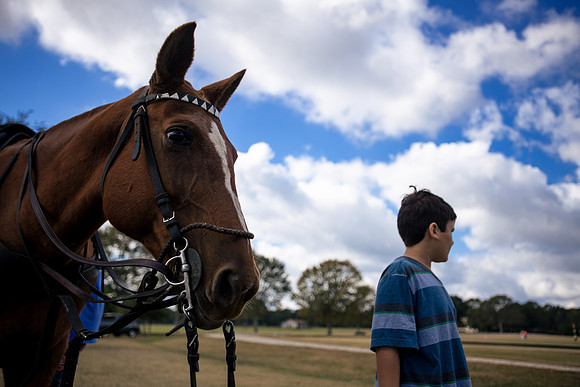 SummergrovePOLO-40