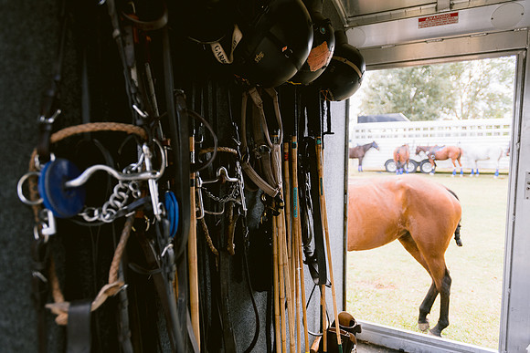 SummergrovePOLO-34