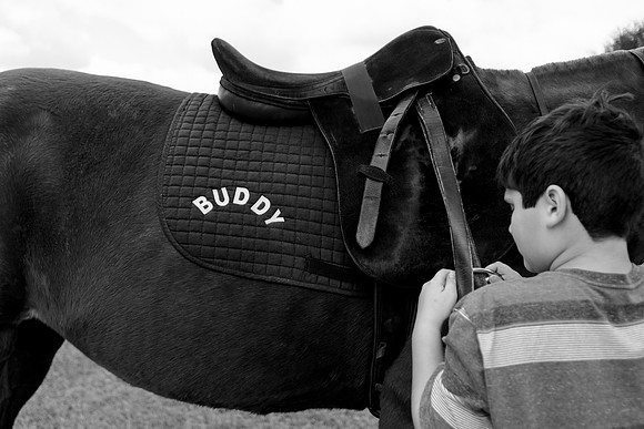 SummergrovePOLO-32