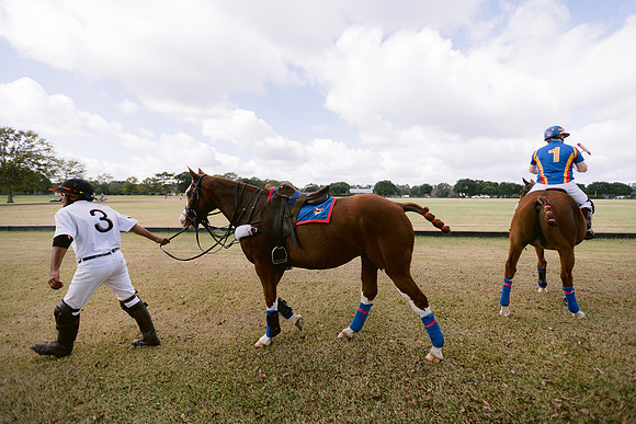 SummergrovePOLO-28