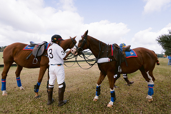 SummergrovePOLO-26