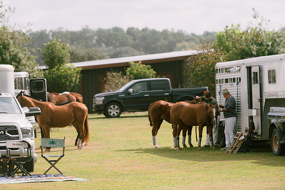 SummergrovePOLO-9