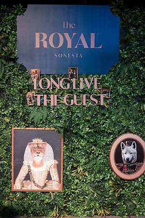 SetNOLA25_RoyalSonesta-6