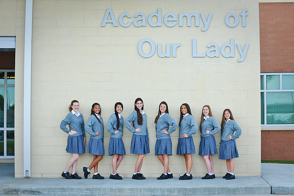 aol2015-90091