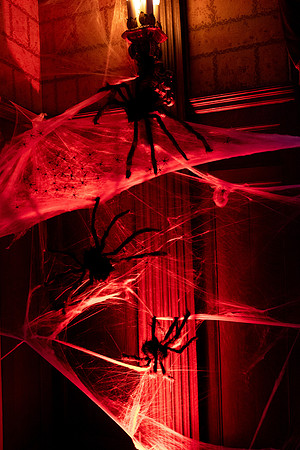 QueensLabyrinth2025_DF-357