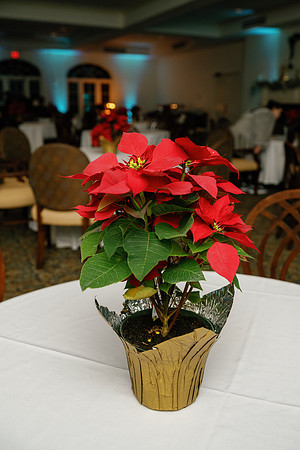 Avala Xmas Party 2025_DF-16