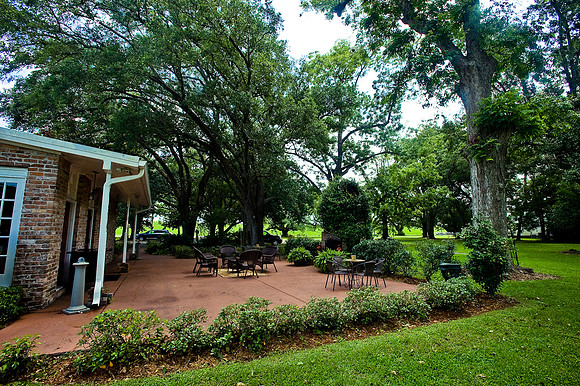 cedargrove-2269