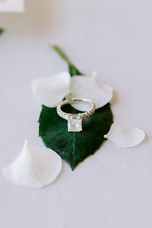 BrookDowning_BridalTeaParty-140