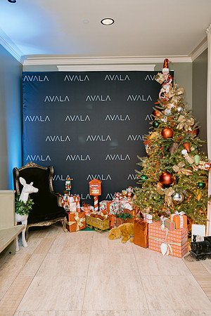 Avalaxmas22-13
