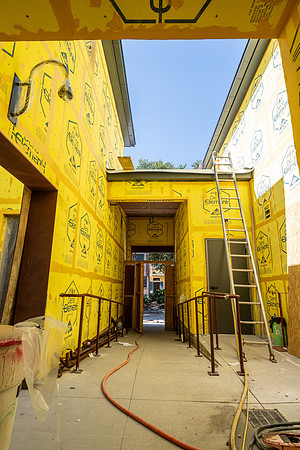 333NDiamond_Carimi0526_DF-59
