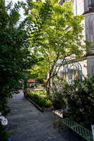 910Royal_Carimi0526_DF-13