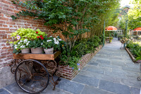 910Royal_Carimi0526_DF-10