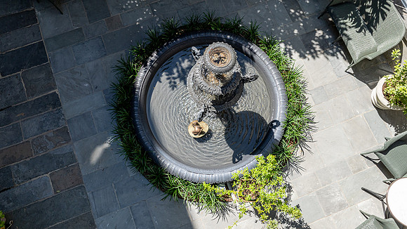 910Royal_Carimi0526_DF-3