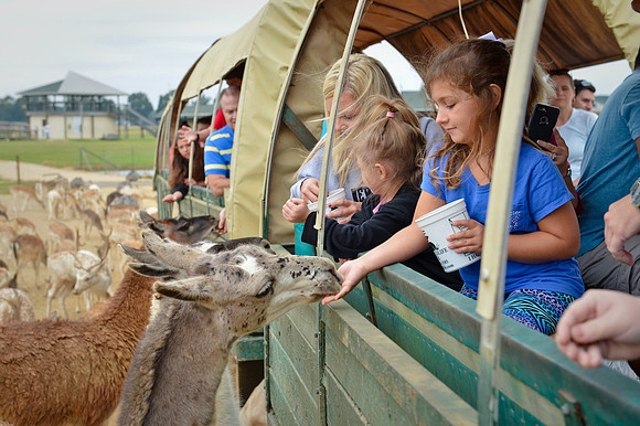 GlobalWildlife-0492