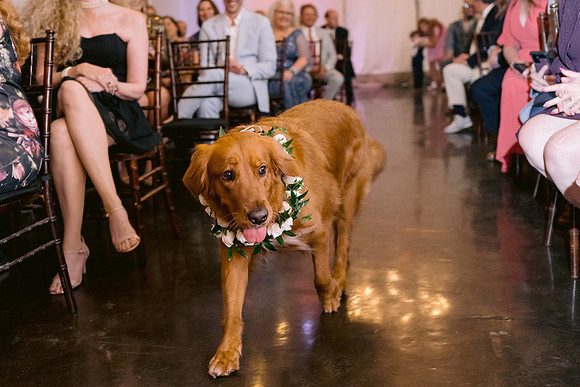 RusenWedding-DW-366