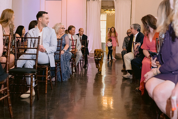RusenWedding-DW-363