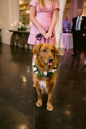RusenWedding-DW-499