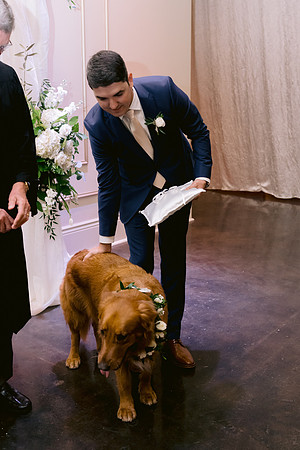 RusenWedding-DW-375