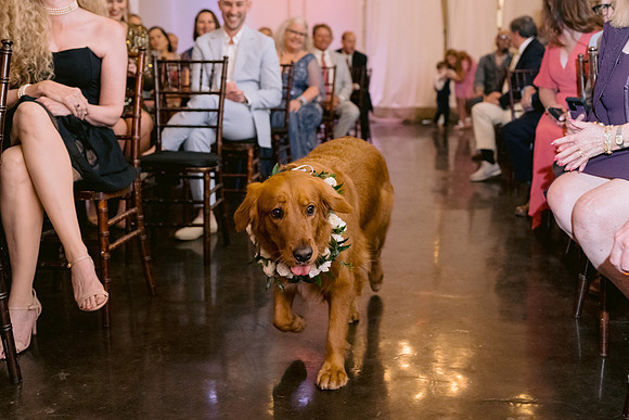 RusenWedding-DW-365