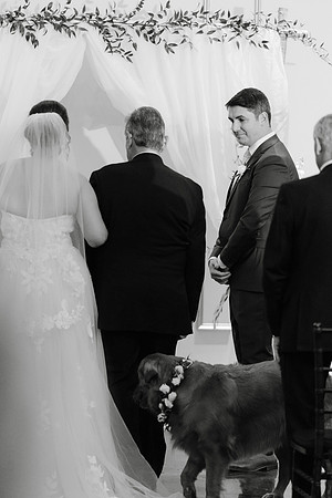 RusenWedding-DW-382