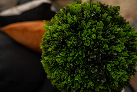 delight11_404-71