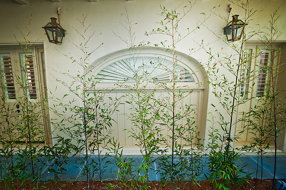 melrose919-2968