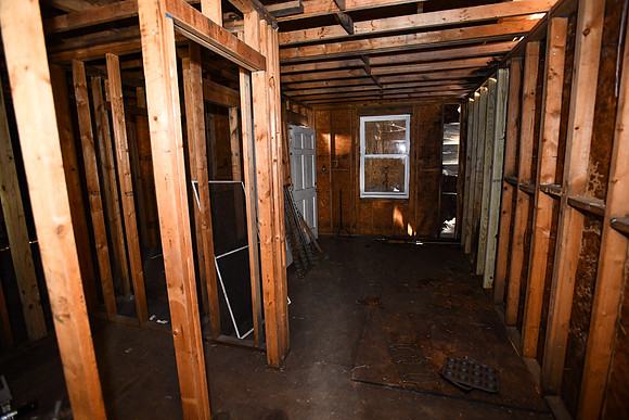 doyleprojectDI-54