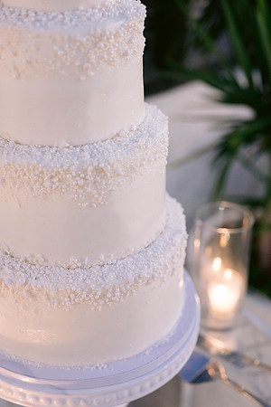 Scheu Wedding_DW-738