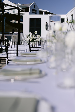 Scheu Wedding_DW-337