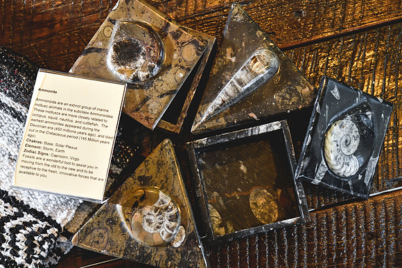 Reynproducts-123
