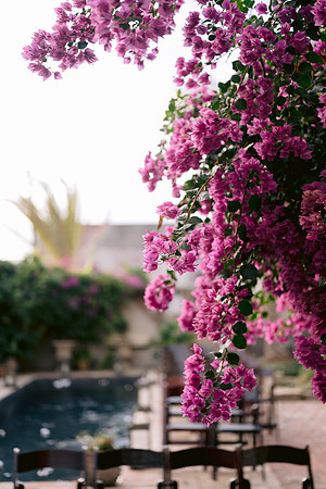 Wilsey_DW-38
