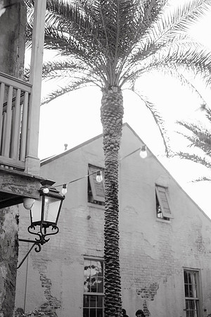 Wilsey_DW-39
