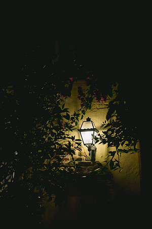 Wilsey_DW-474